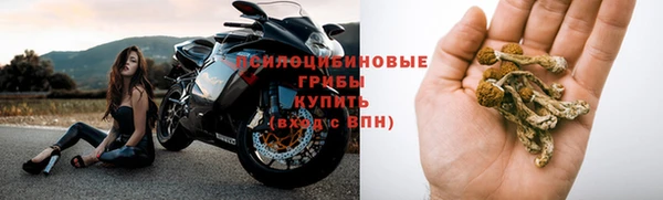 МДПВ Армянск