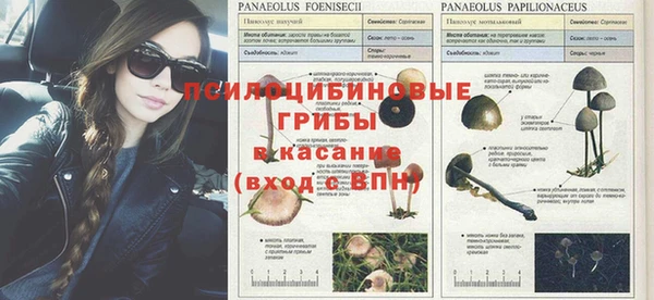 МДПВ Армянск