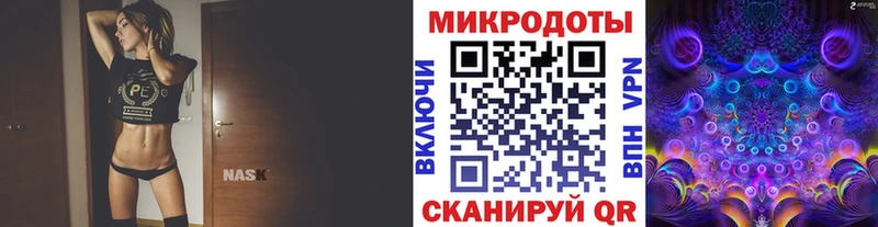 магазин  наркотиков  Салехард  Псилоцибиновые грибы прущие грибы 