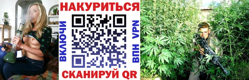 где купить наркоту  МЕГА ONION  Марихуана конопля  Салехард 